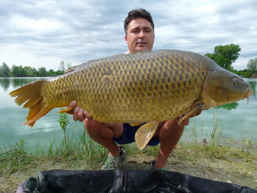 THE BIGS OF 2013 - p1030594.JPG